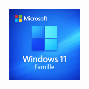 Windows 11 Home 32/64 Multi-idioma