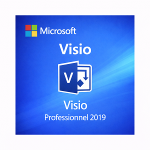 Microsoft Visio Professional 2019 (PC)