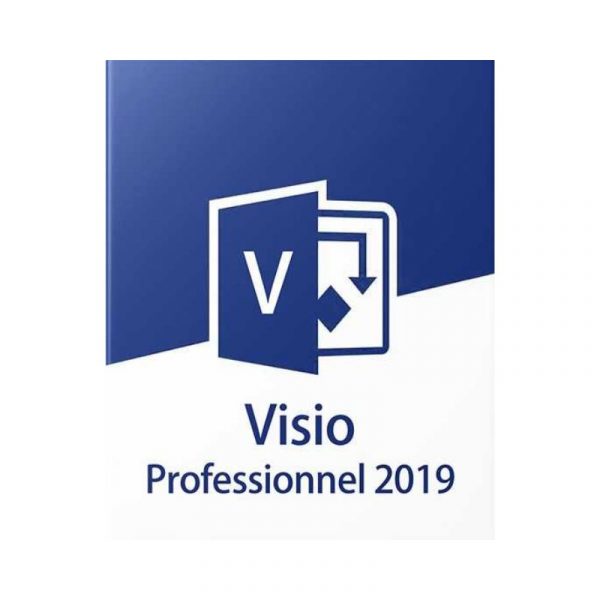 Microsoft Visio Professional 2019 (PC)