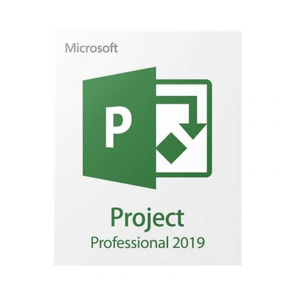 Microsoft Project Professional 2019 (PC)